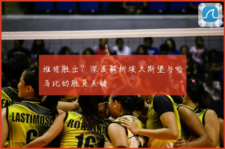 谁将胜出？深度解析埃夫斯堡与哈马比的胜负关键